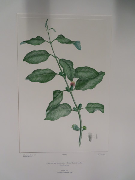 image FDA-E.2916_18_14-2016