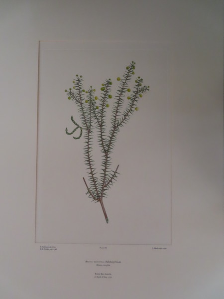 image FDA-E.2916_4_22-2016-A