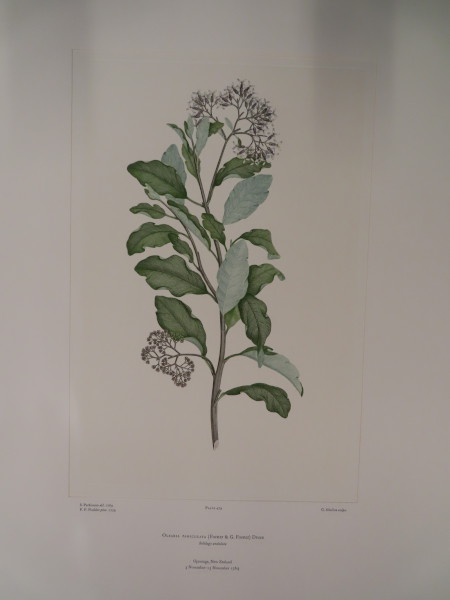 image FDA-E.2916_23_13-2016-A
