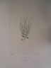 image FDA-E.2916_8_5-2016