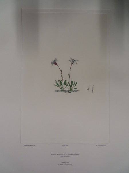 FDA-E.2916_33_15-2016 image FDA-E.2916_33_15-2016