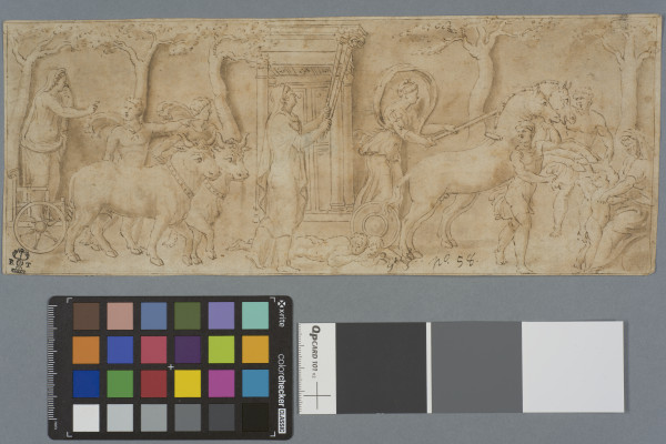 image ECL-Bn.9_58-2013