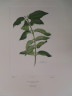 image FDA-E.2916_12_8-2016-A
