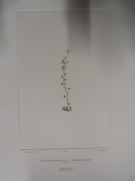 image FDA-E.2916_21_17-2016-A