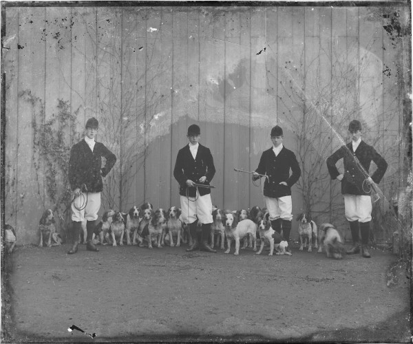 image PA-N.779-2024