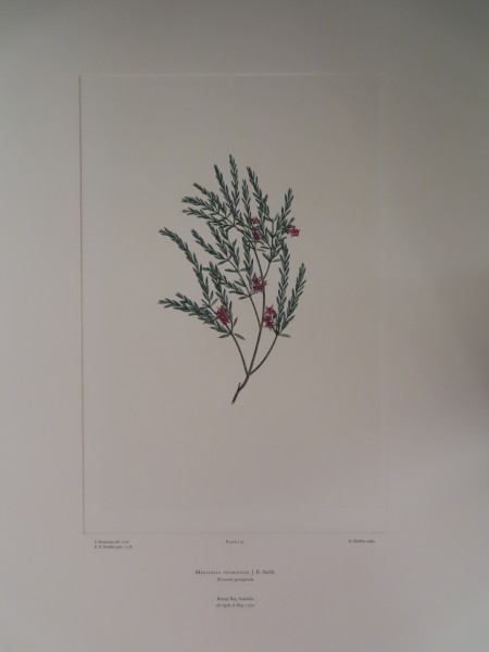 image FDA-E.2916_6_6-2016