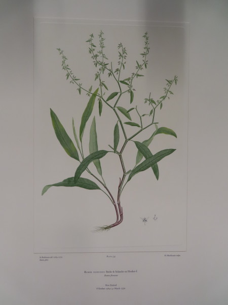 image FDA-E.2916_25_23-2016