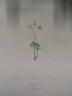 image FDA-E.2916_34_17-2016-A