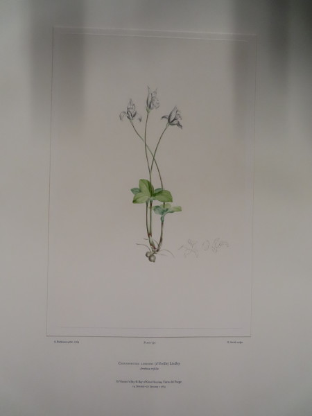 FDA-E.2916_34_17-2016-A image FDA-E.2916_34_17-2016-A