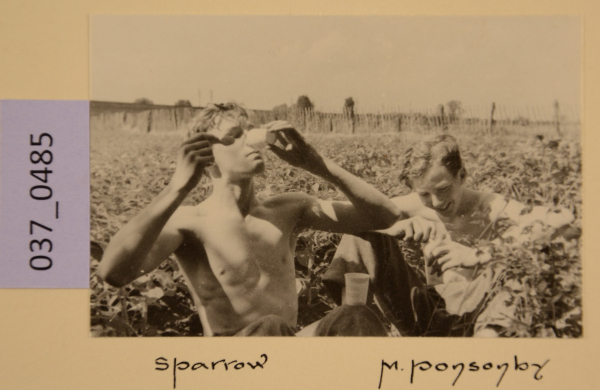 image PA-A.37_485-2012