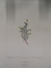 image FDA-E.2916_33_20-2016-A