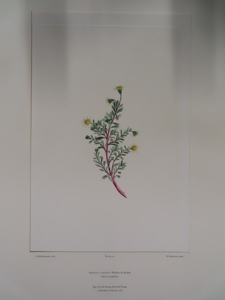 image FDA-E.2916_33_20-2016-A