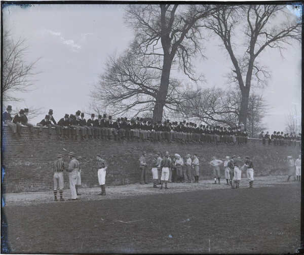 image PA-N.1244-2024