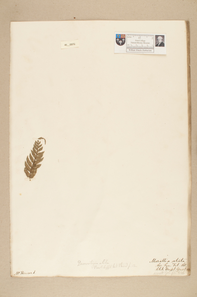 NHM_HH_41.73-2010 image NHM_HH_41.73-2010