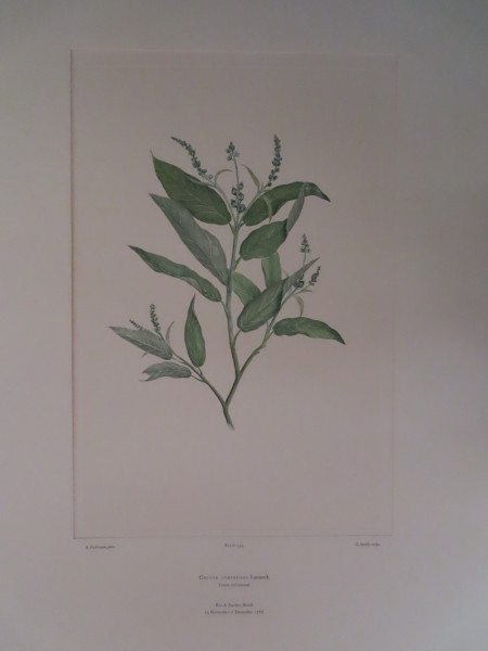 image FDA-E.2916_16_20-2016