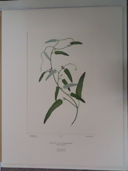 FDA-E.2916_4_8-2016 image FDA-E.2916_4_8-2016