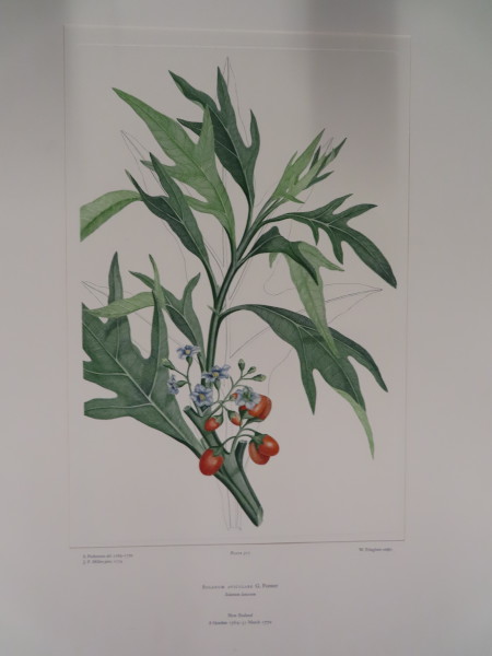 image FDA-E.2916_25_5-2016-A