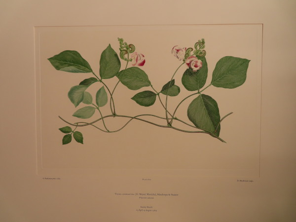 image FDA-E.2916_28_19-2016-A