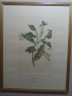 image FDA-E.2916_13_19-2016