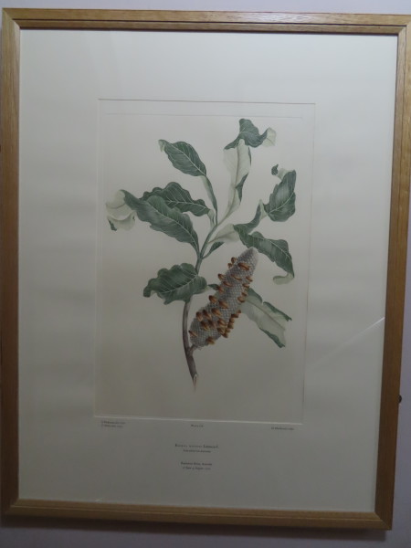 image FDA-E.2916_13_19-2016