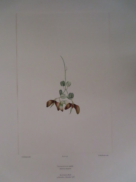 FDA-E.2916_16_5-2016-A image FDA-E.2916_16_5-2016-A