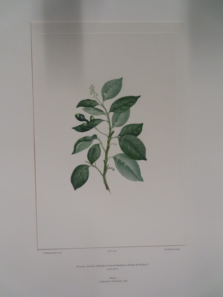 image FDA-E.2916_19_13-2016-A