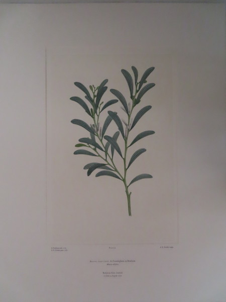 image FDA-E.2916_5_5-2016-A