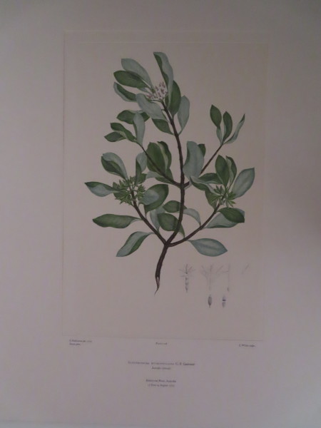 FDA-E.2916_7_16-2016-A image FDA-E.2916_7_16-2016-A