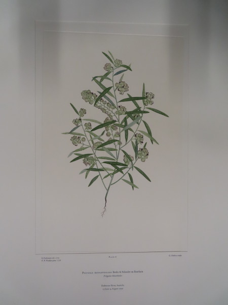 image FDA-E.2916_1_19-2016