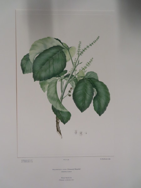 image FDA-E.2916_17_8-2016