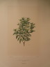 image FDA-E.2916_28_24-2016-A