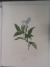 image FDA-E.2916_3_13-2016