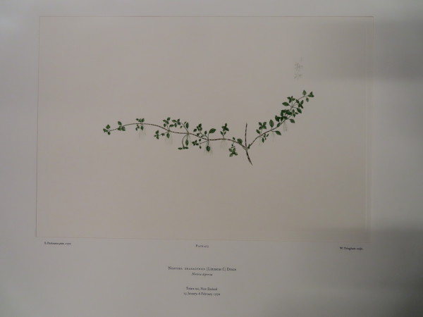 FDA-E.2916_23_9-2016-A image FDA-E.2916_23_9-2016-A