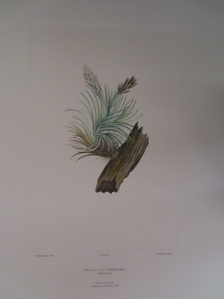 image FDA-E.2916_16_26-2016