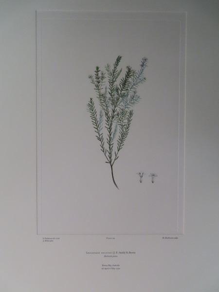 FDA-E.2916_9_17-2016 image FDA-E.2916_9_17-2016