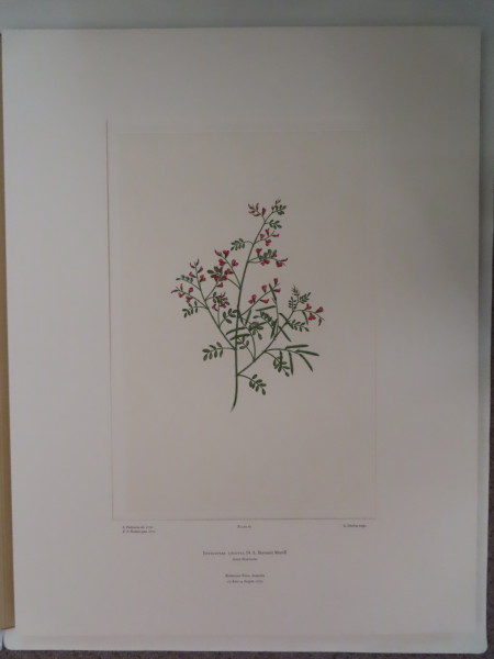 FDA-E.2916_3_18-2016 image FDA-E.2916_3_18-2016