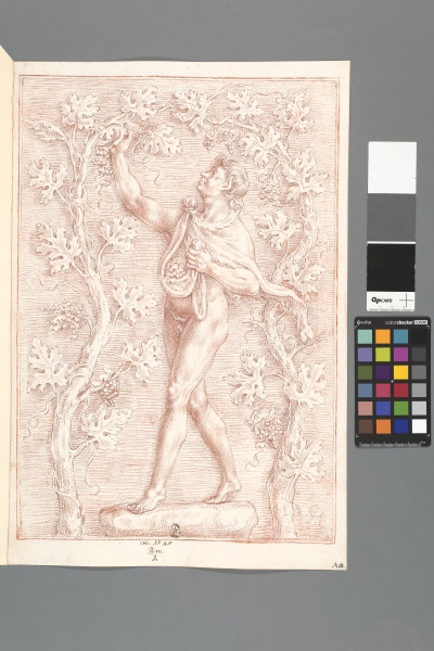 image ECL-Bm.1_48-2012