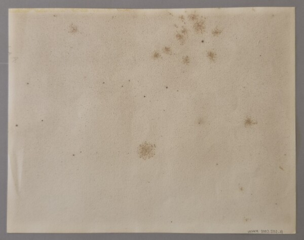 image FDA-E.3351-2026-D