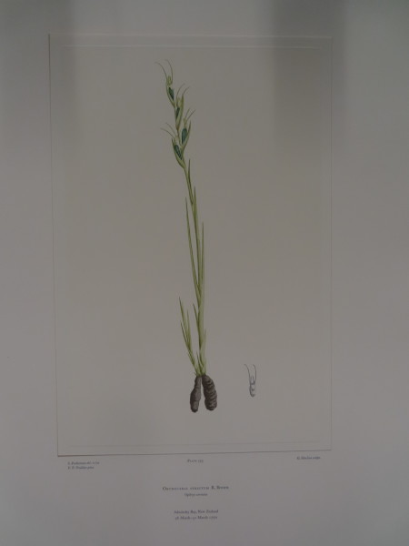 image FDA-E.2916_26_20-2016-A
