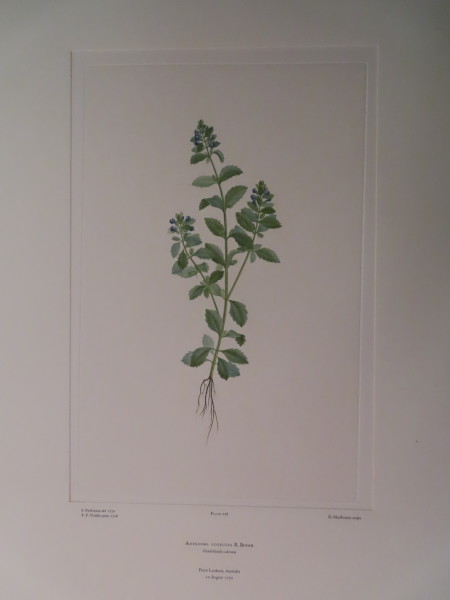 image FDA-E.2916_11_6-2016
