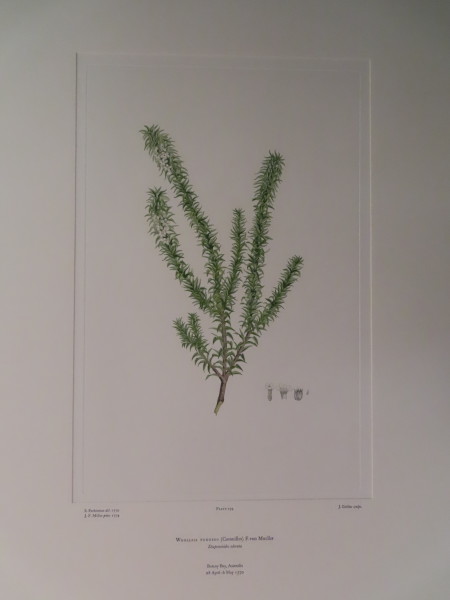 image FDA-E.2916_9_22-2016
