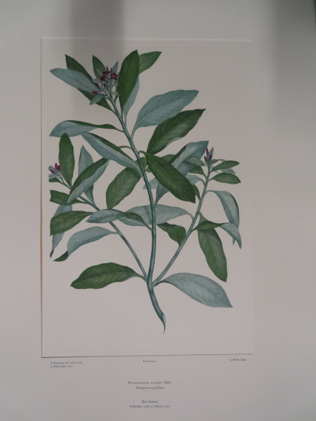 image FDA-E.2916_20_15-2016
