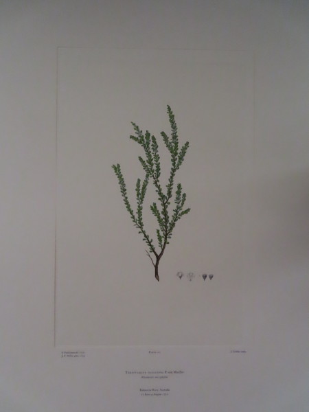 image FDA-E.2916_5_20-2016