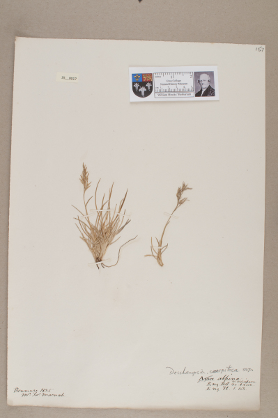 image NHM_HH_35.17-2010