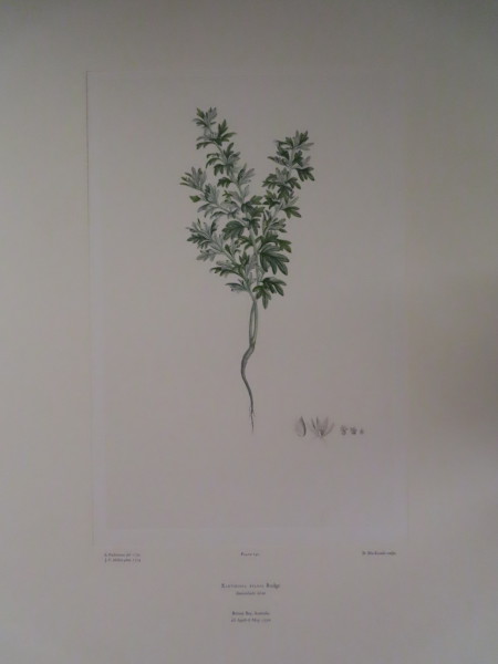 FDA-E.2916_7_8-2016-A image FDA-E.2916_7_8-2016-A