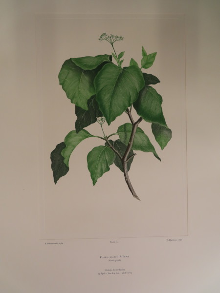 image FDA-E.2916_30_16-2016-A