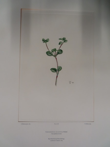 FDA-E.2916_32_18-2016-A image FDA-E.2916_32_18-2016-A