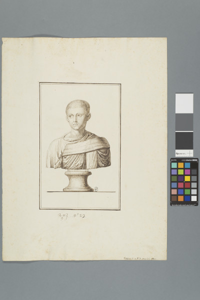 image ECL-Bn.9_23-2013