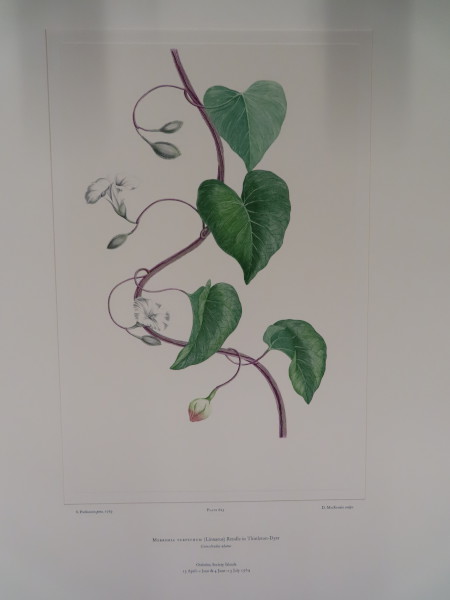 FDA-E.2916_29_22-2016-A image FDA-E.2916_29_22-2016-A