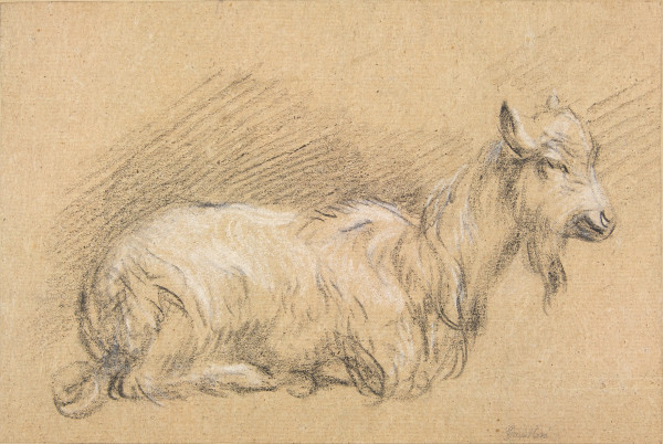 image FDA-D.257-2010